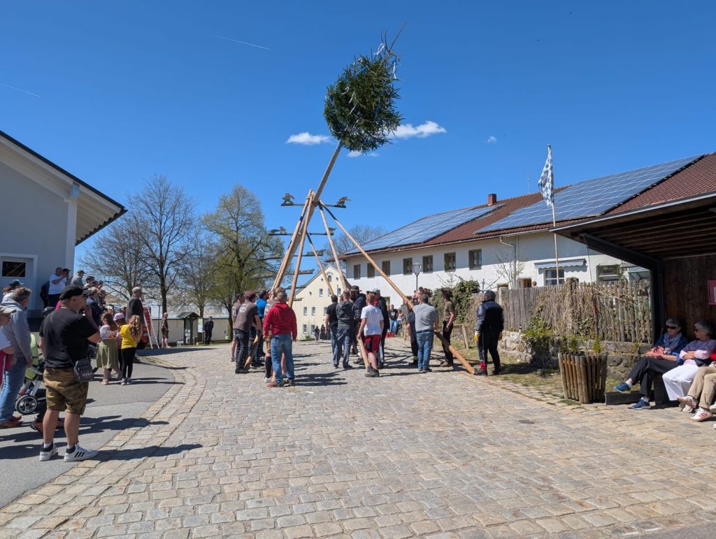 FF Kreuzberg - Maibaum 2026 - DSKB Kreuzberg